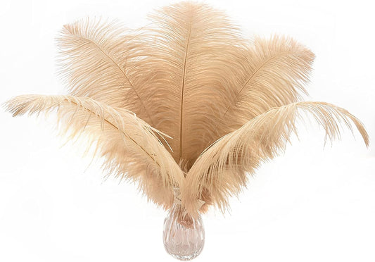 Ballinger Champagne Large Ostrich Feathers - 12Pcs 14-16inch Large Boho Feathers for Vase,Wedding Party Centerpieces and Holiday Home Decor