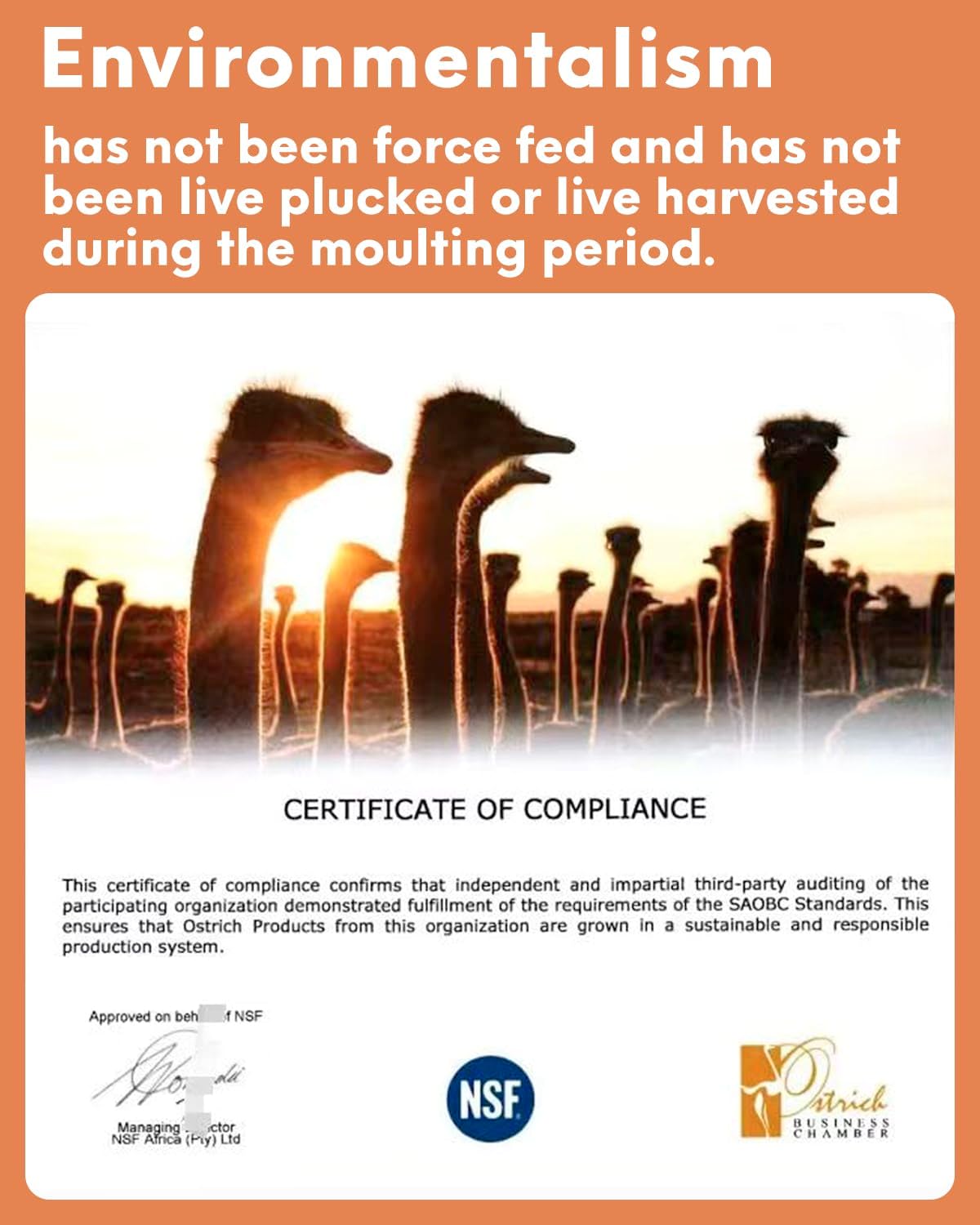 NEWONG 30pcs Orange Ostrich Feathers Natural Bulk 11-14inch(28-35cm) Vase Craft Wedding Home Party Centerpieces Christmas Day Decoration