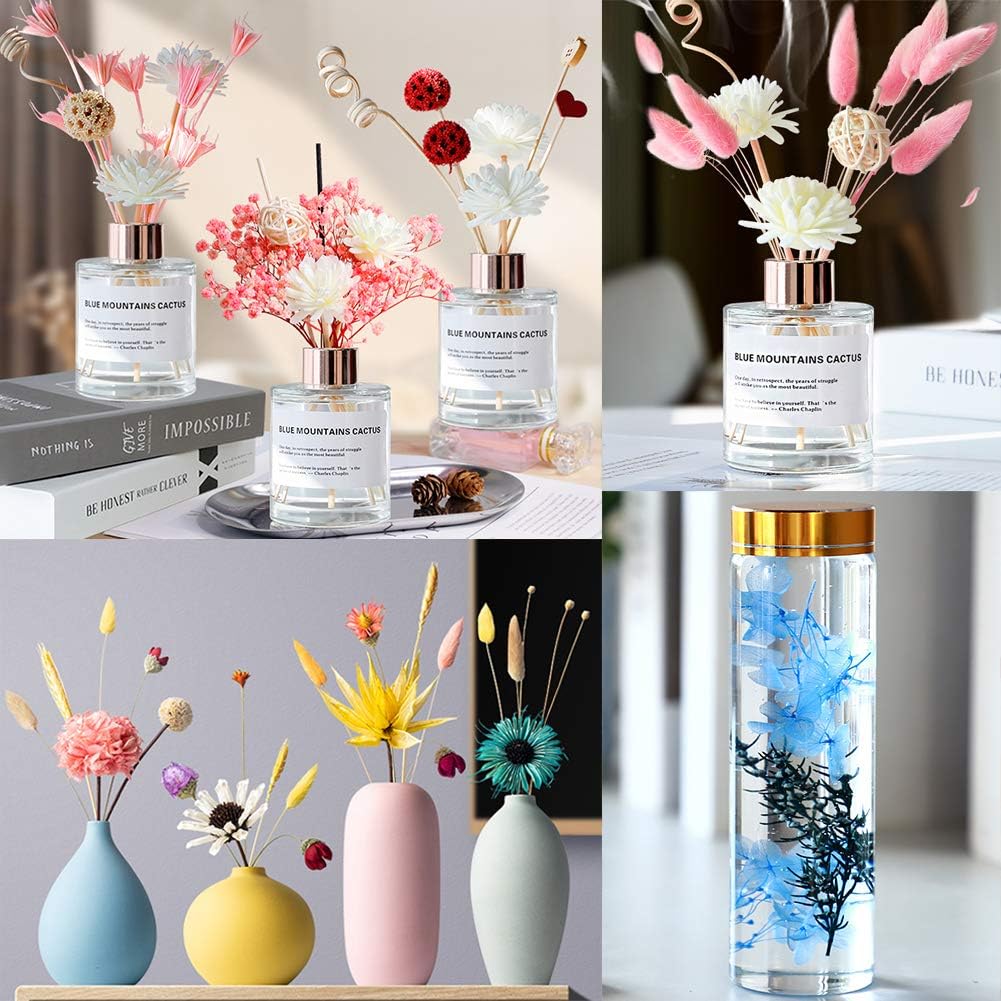 Vignee Real Dried Pressed Leaf Flowers-Multiple Colorful Pressed Flowers Daisies for Craft Resin Jewelry Making Art Craft DIY（White&Light Pink）