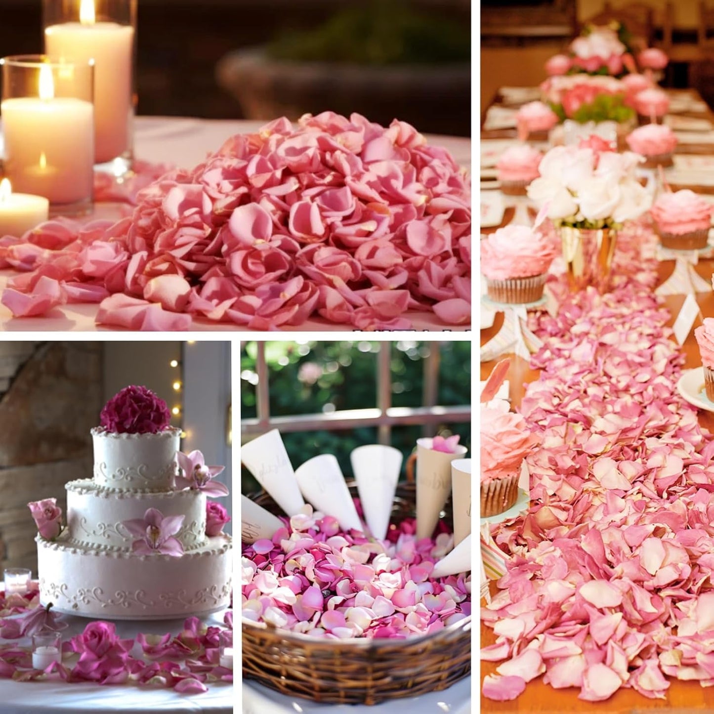 200Pcs Dried Real Pink Rose Petals, Preserved Flower Petals 1.75oz for Gifts Wedding Party Decor, Flower Girl, Dinner Table Centerpieces, Bridal Shower, Confetti