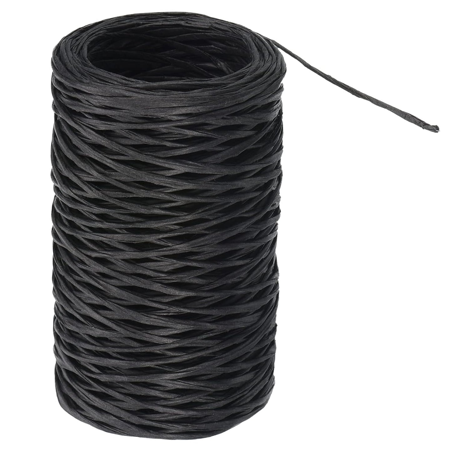 PATIKIL 164 Feet Floral Bind Wire Wrap Twine, 1mm Florist Wire Iron Wire Paper Covered Vine Wrapping Binding Wire for Flower Bouquets, Black
