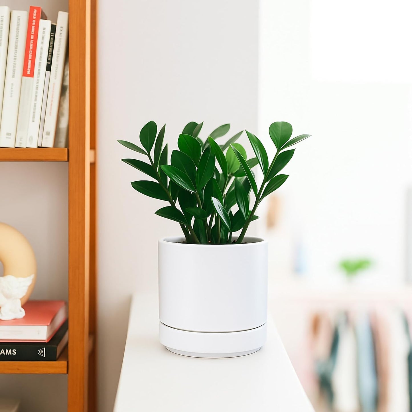 D'vine Dev Set of 4 Small Ceramic Plant Pots, 4.7 Inch Succulent Planter Pot for Plants with Drainage Hole and Saucer, White, 94-X-B-1