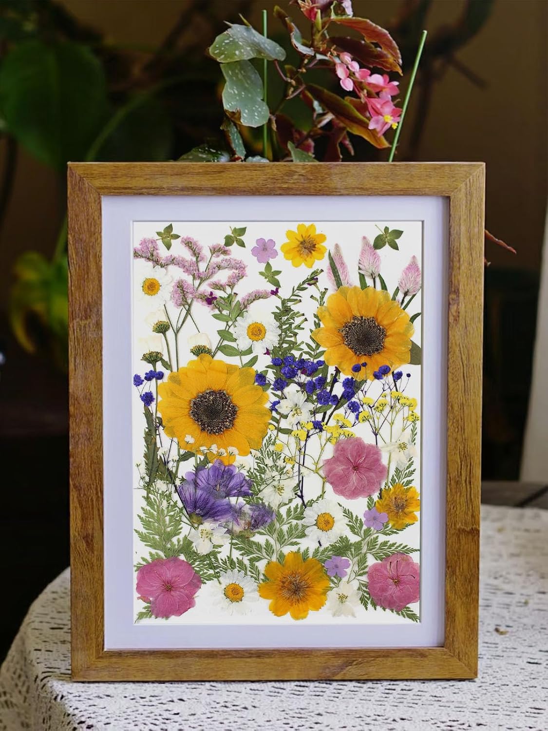 16 Types Boho Dried Pressed Flowers for Craft, Leaf Plant Herbarium for Resin Molds Jewelry Making Floral Decors（Boho Color）