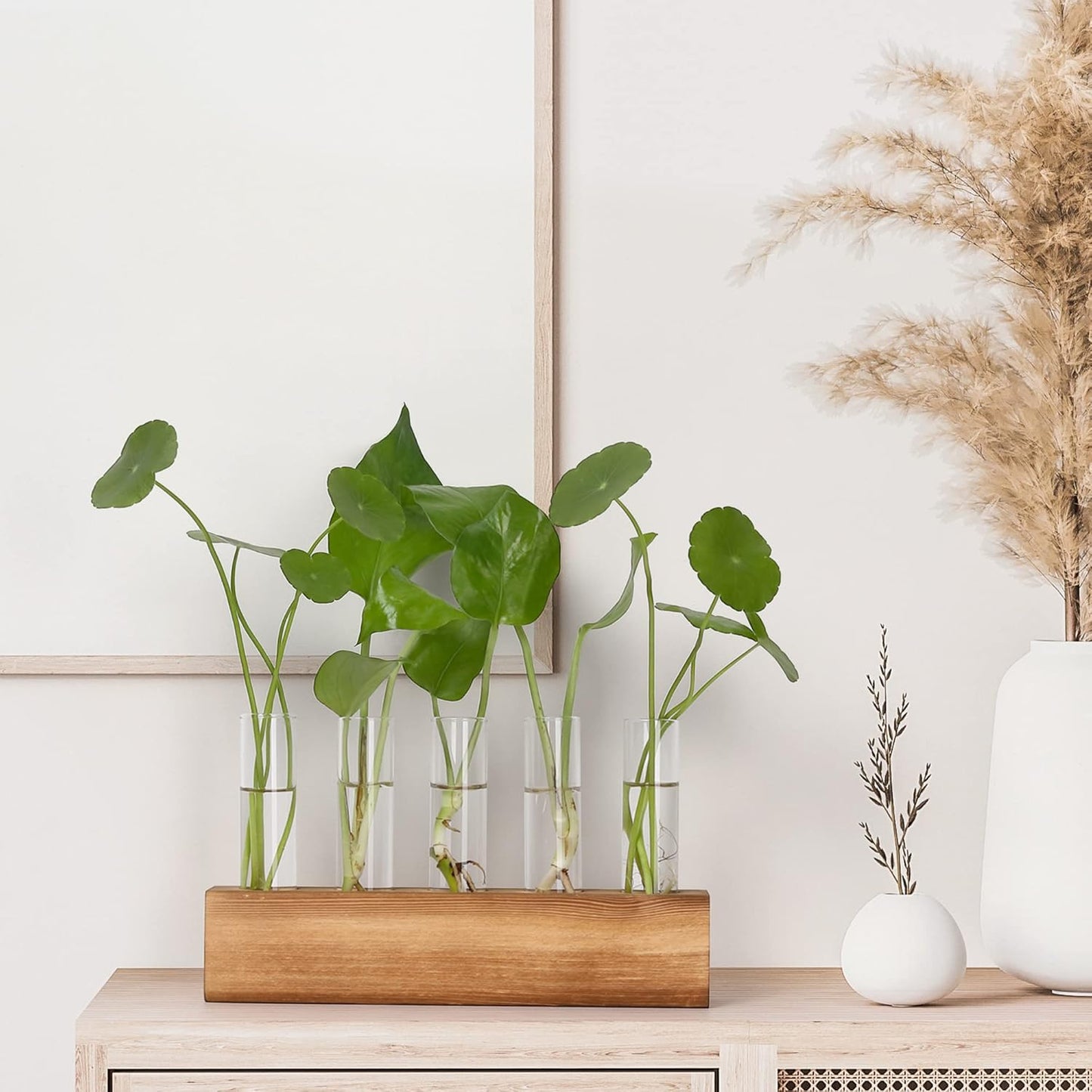 YIBOT Propagation Stations, Plant Terrarium with Wooden Stand, Birthday Gardening Gifts for Women Mom Plant Lovers,Home Office Desk Decor, 5 Glass Test Tubes Vases