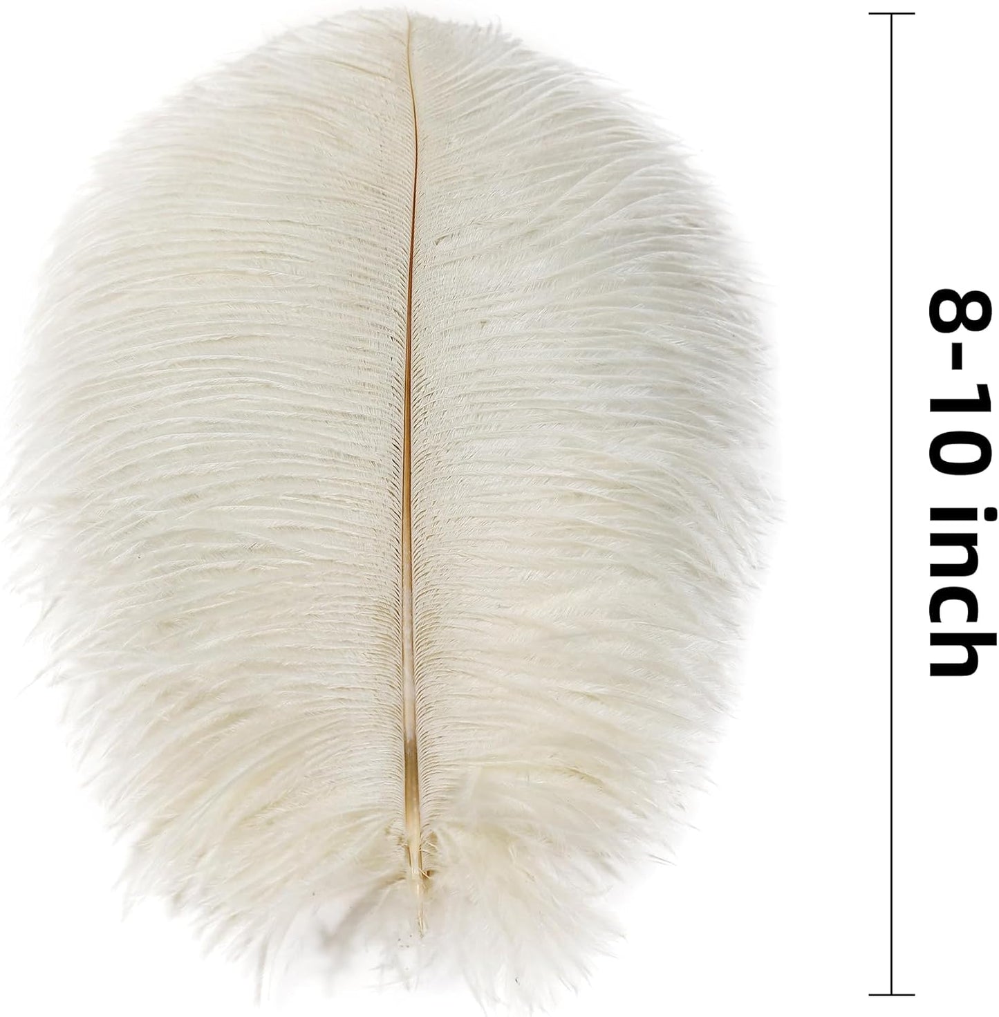 Ballinger Beige Ostrich Feathers Bulk - 24pcs 8-10inch Cream Feathers for Crafts,Wedding Party Centerpieces and Home Decor