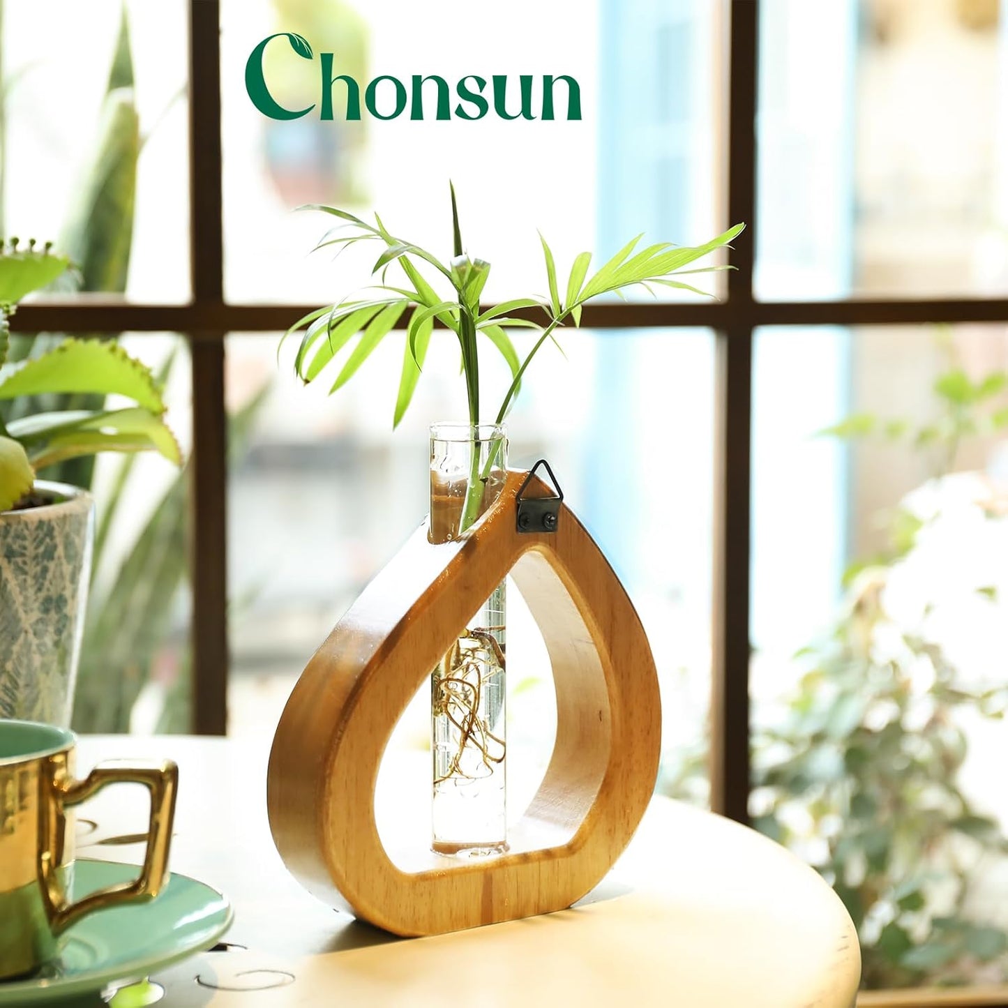 Propagation Stations Planter Terrariums Wall Hanging Test Tube Desk Decorations with Wooden Stand Plant Terrarium Office Decor Gifts for Plant Lover Gifts