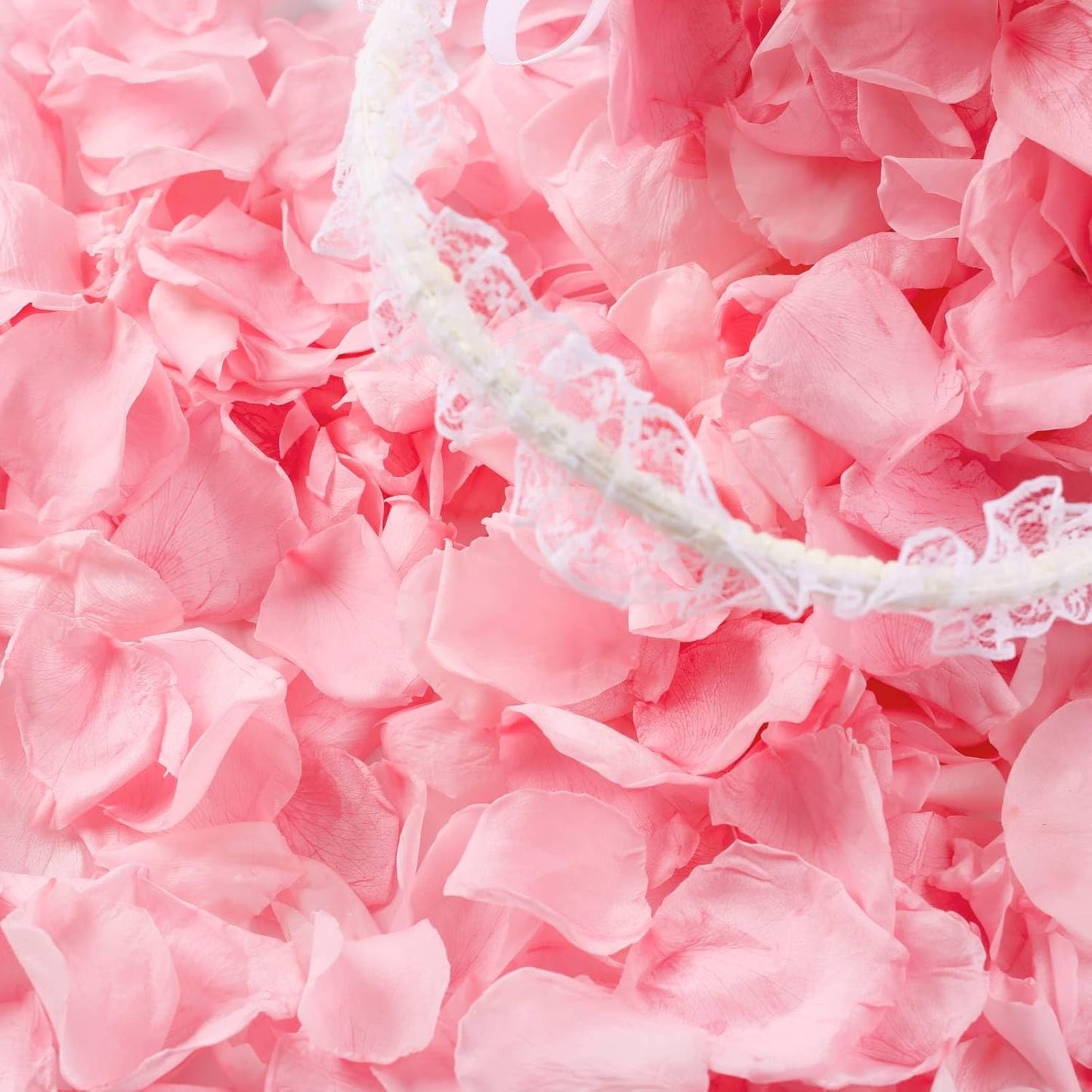 300 PCS Real Pink Dried Rose Petals Confetti for Wedding, 2.82oz Freeze Rose Petals for Romantic Wedding Valentine's Day Proposal Decor, Dinner Table Centerpieces Party