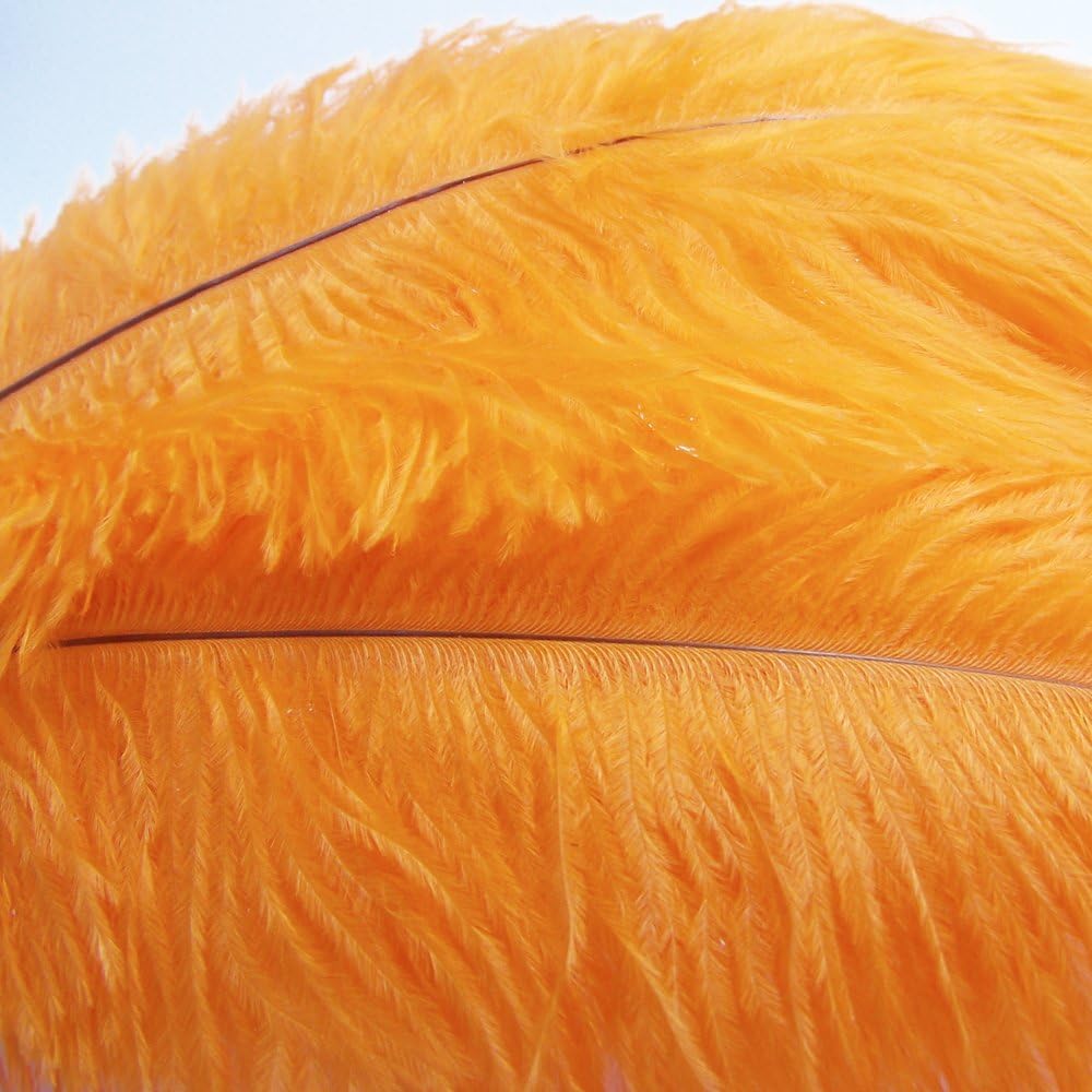 KOLIGHT® 40pcs 12''~14''(30~35cm) Natural Ostrich Feathers for DIY Home Wedding Party Office Decoration (Orange)