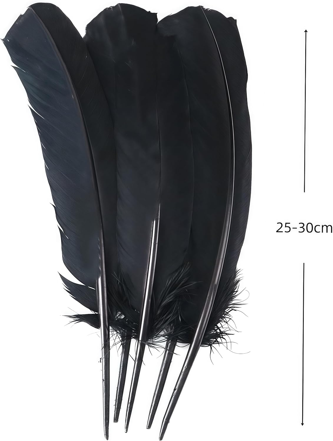Black Turkey Feathers,22 Pcs Natural Feathers Bulk Long 10-12 inch (25-30cm),Turkish Feather for Crafts DIY Wedding Home Party Mardi Gras Decorations (Black)