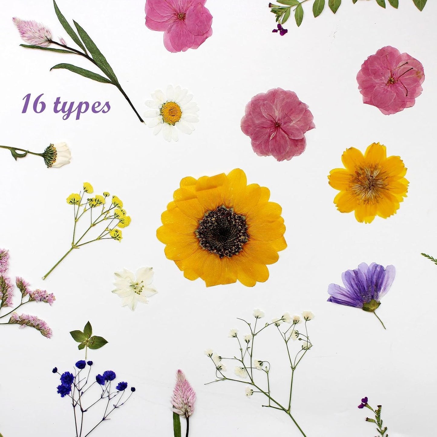 16 Types Boho Dried Pressed Flowers for Craft, Leaf Plant Herbarium for Resin Molds Jewelry Making Floral Decors（Boho Color）
