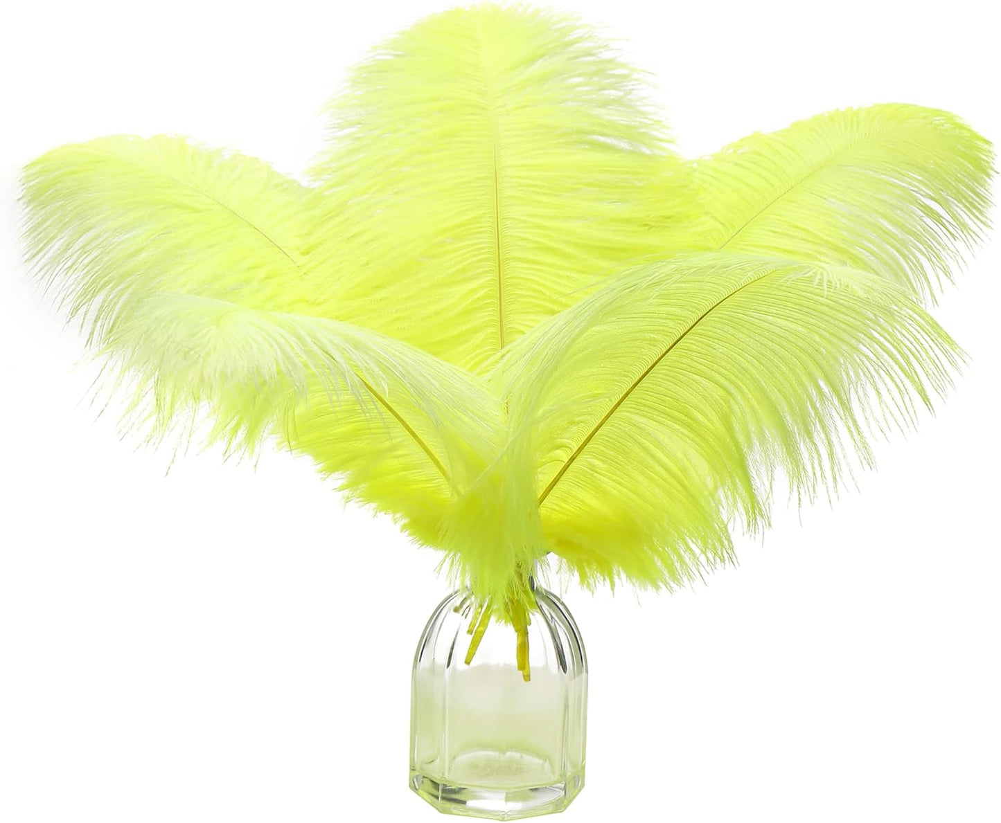 Ballinger Fluorescent Yellow Ostrich Feathers - 12Pcs 12-14inch Large Feathers Bulk for Vase, Party Centerpieces, Mardi Gras Decorations and Home Decor
