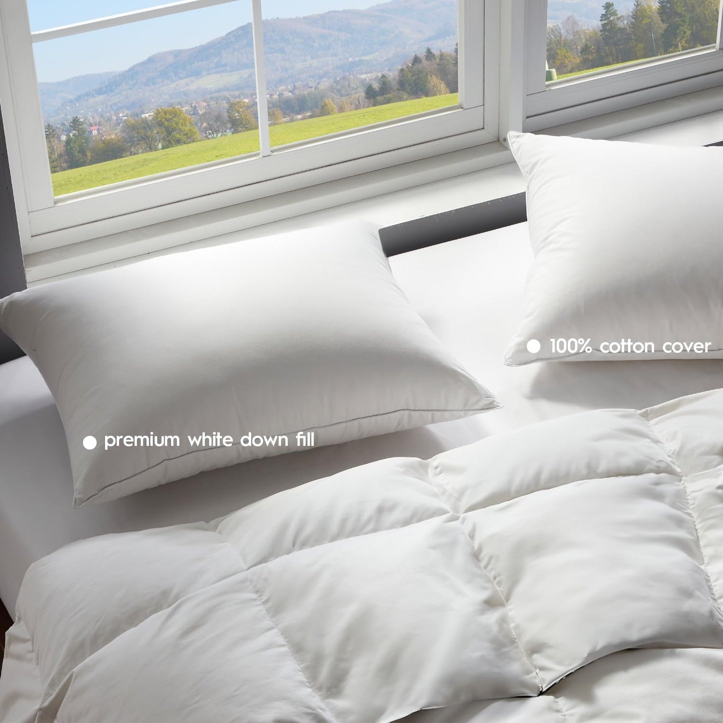 Globon Ultra Soft Down Pillow Standard Size Set of 2, All Down Filled Bed Pillow for Sleeping, 100% Cotton Shell 500 Thread Count, Soft Hotel Collection Down Feather Pillow 20" x 26"