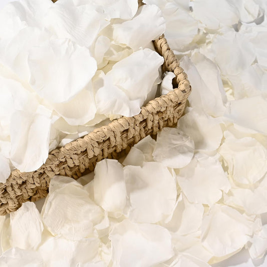 380 PCS White Dired Rose Petals 3.53oz/100g Natural Real Rose Flower Petals for Wedding Aisle, Flower Girl Basket, Will You Marry Me, Valentines, Romantic Night, Proposal, Anniversary, Special Night