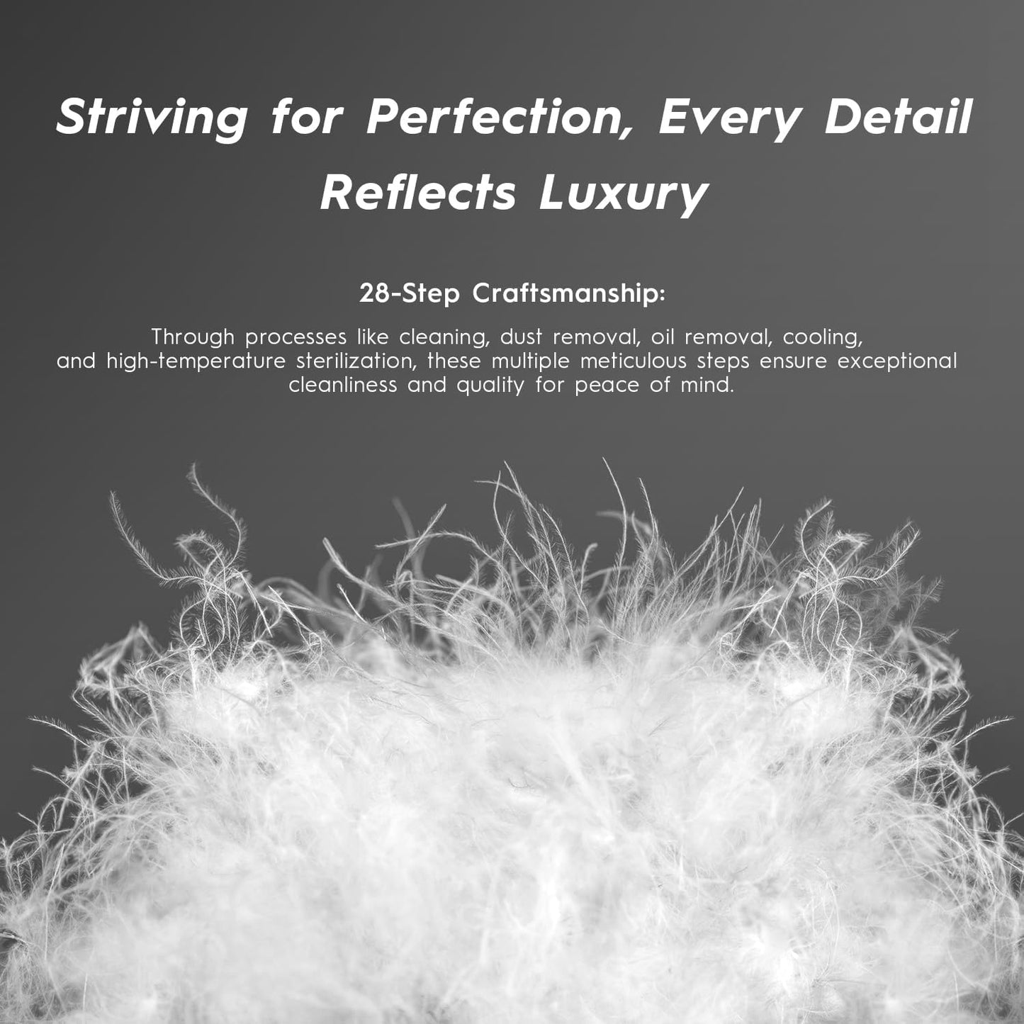 Globon Ultra Soft Down Pillow Queen Size, All Down Filled Bed Pillow for Sleeping, 100% Cotton Shell 500 Thread Count, Soft Hotel Collection Down Feather Pillow 20" x 30" 1 Pack