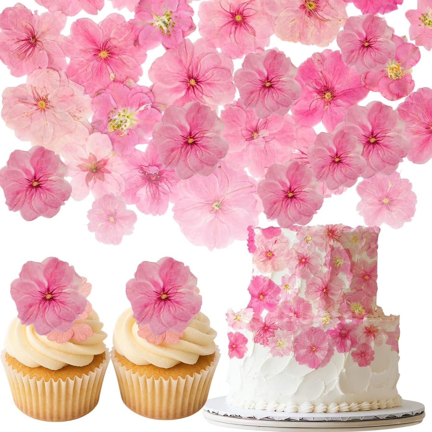 40 Pcs 2 Kinds Natural Pressed Dried Edible Flowers for Cake Topper Decoration - Pink Mix Sakura, Cherry Blossoms for Cupcake Toppers, Cocktails, Resin Jewelry, DIY Crafts