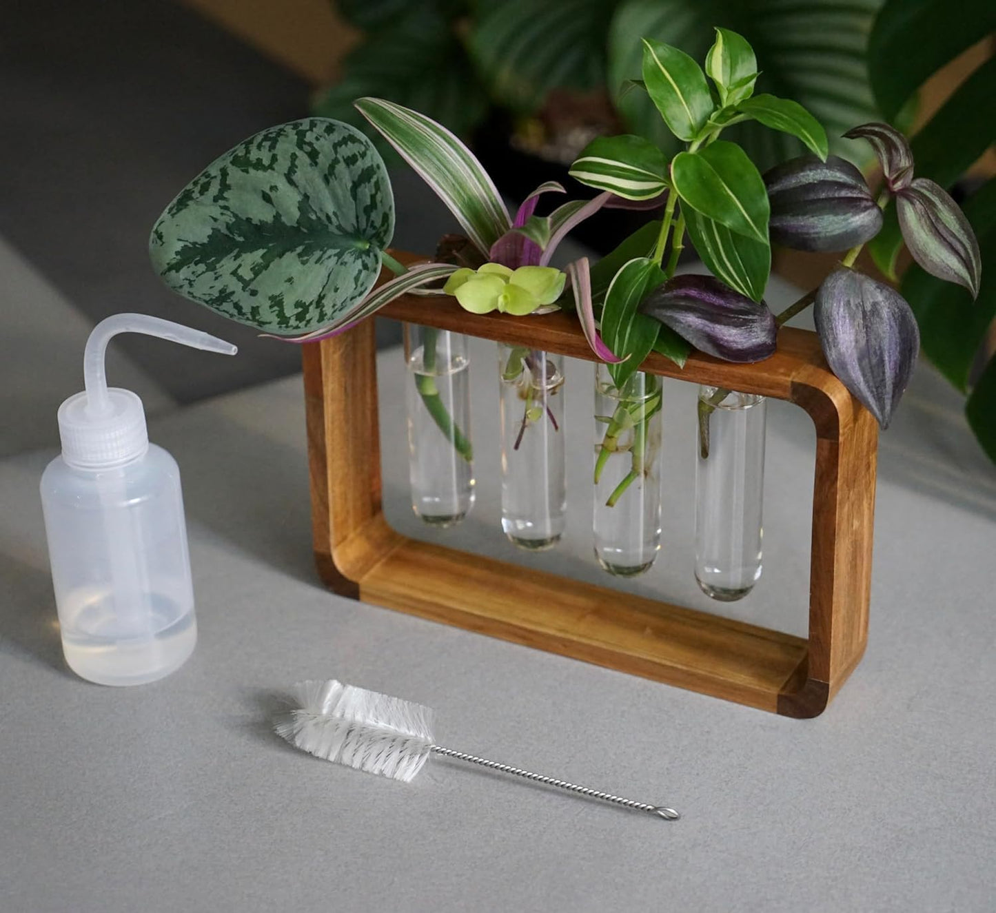 Source & Plot - Plant Propagation Station - Acacia Wood Stand 4 Glass Test Tube Hydroponic Tabletop Rooting Terrarium Planter Rack Home and Office Decor - Last Batch
