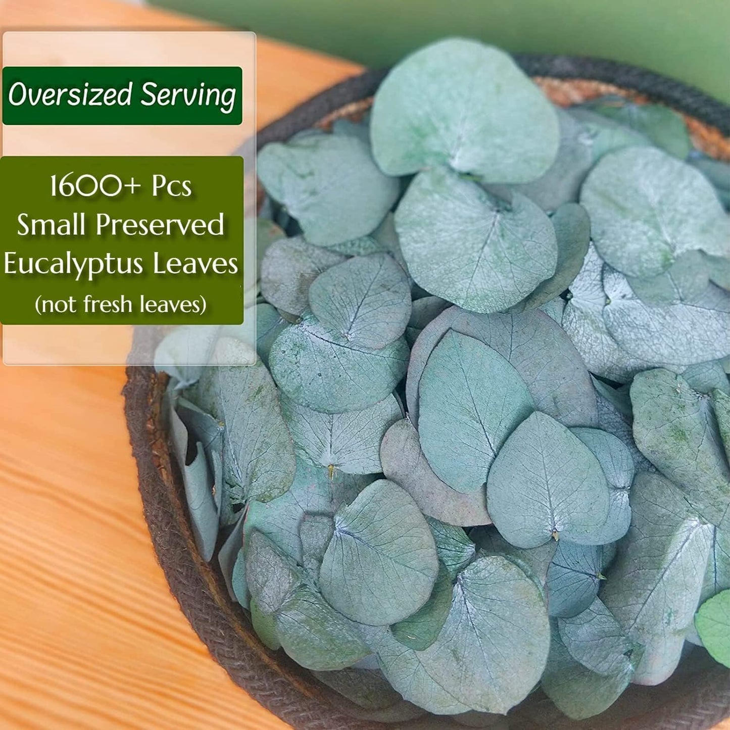 1600+Preserved Real Eucalyptus Leaves Small, Pure Natural Bulk Eucalyptus, Wedding Leaves Confetti for Anniversaries, Birthday, Graduation, Bridal Showers, Baby Shower Party Decor