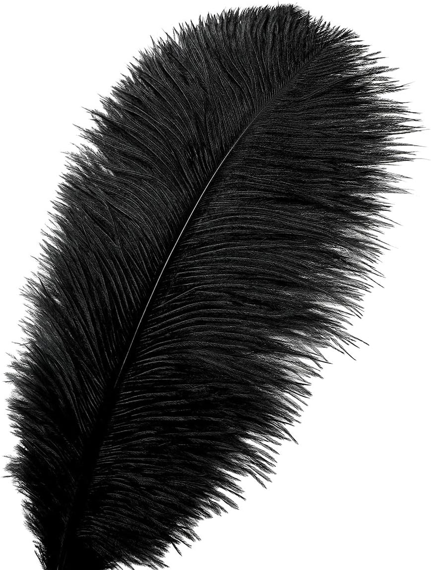 Ballinger Black Ostrich Feathers Bulk - 24Pcs 8-10inch Feathers for Crafts,Gatsby and Halloween Party Centerpieces