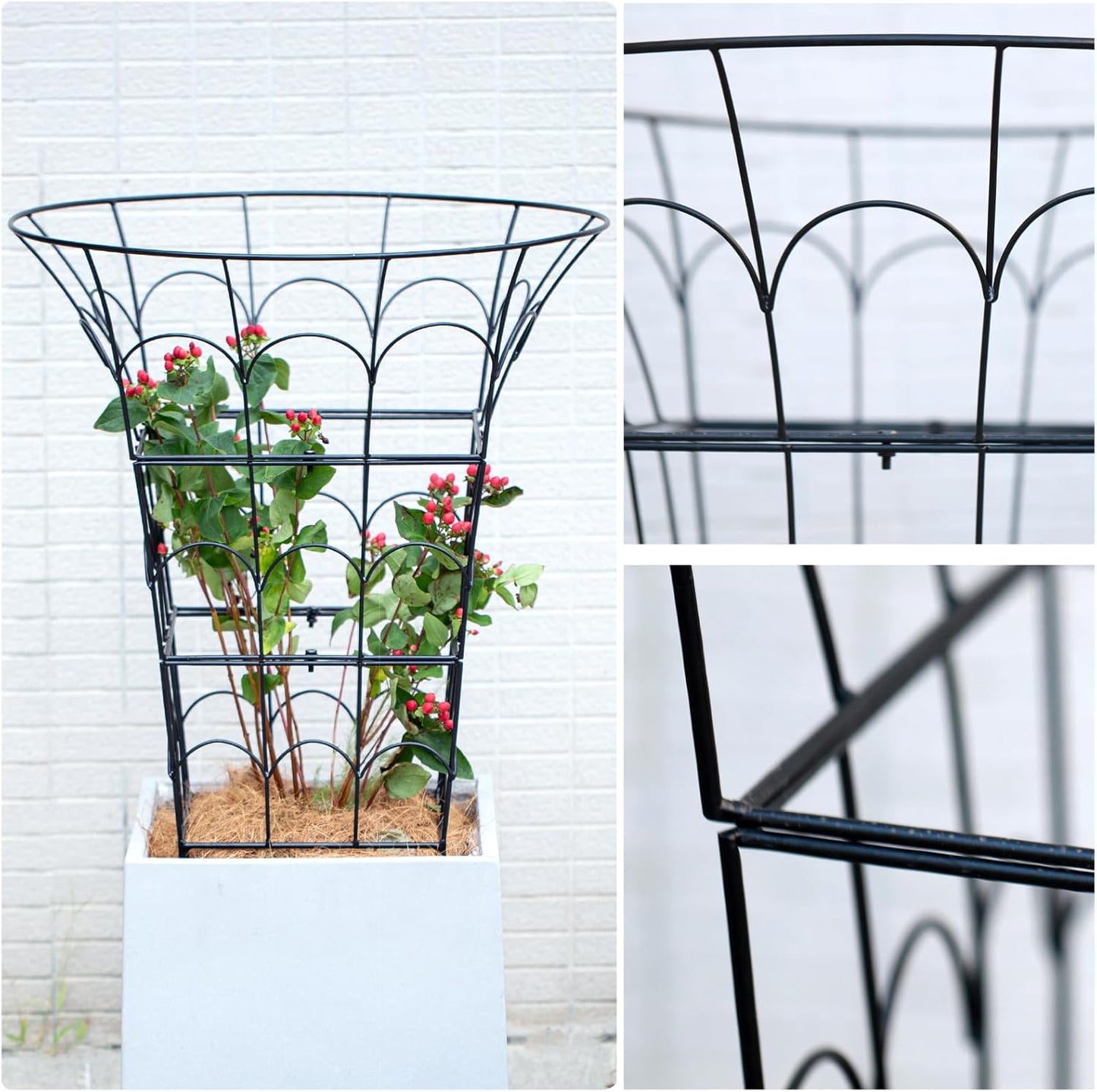 COOOXIM Peony Cages & Supports - Metal Plant Obelisk Trellis for Outdoor Use, 27.5 x 22 Inches, Perfect for Peonies, Roses, and Climbing Vines - Durable Garden Support Ring in M Shape