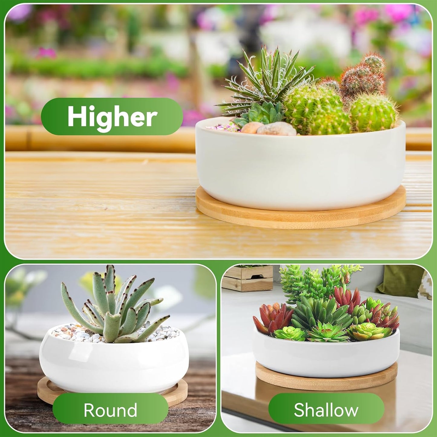 ZOUTOG Plant Pot 6 Inch,Ceramic Succulent Pots for Flower with Drainage and Tray,Succulent Planters for Indoor Plants White Round with Home,Office,Pack of 2