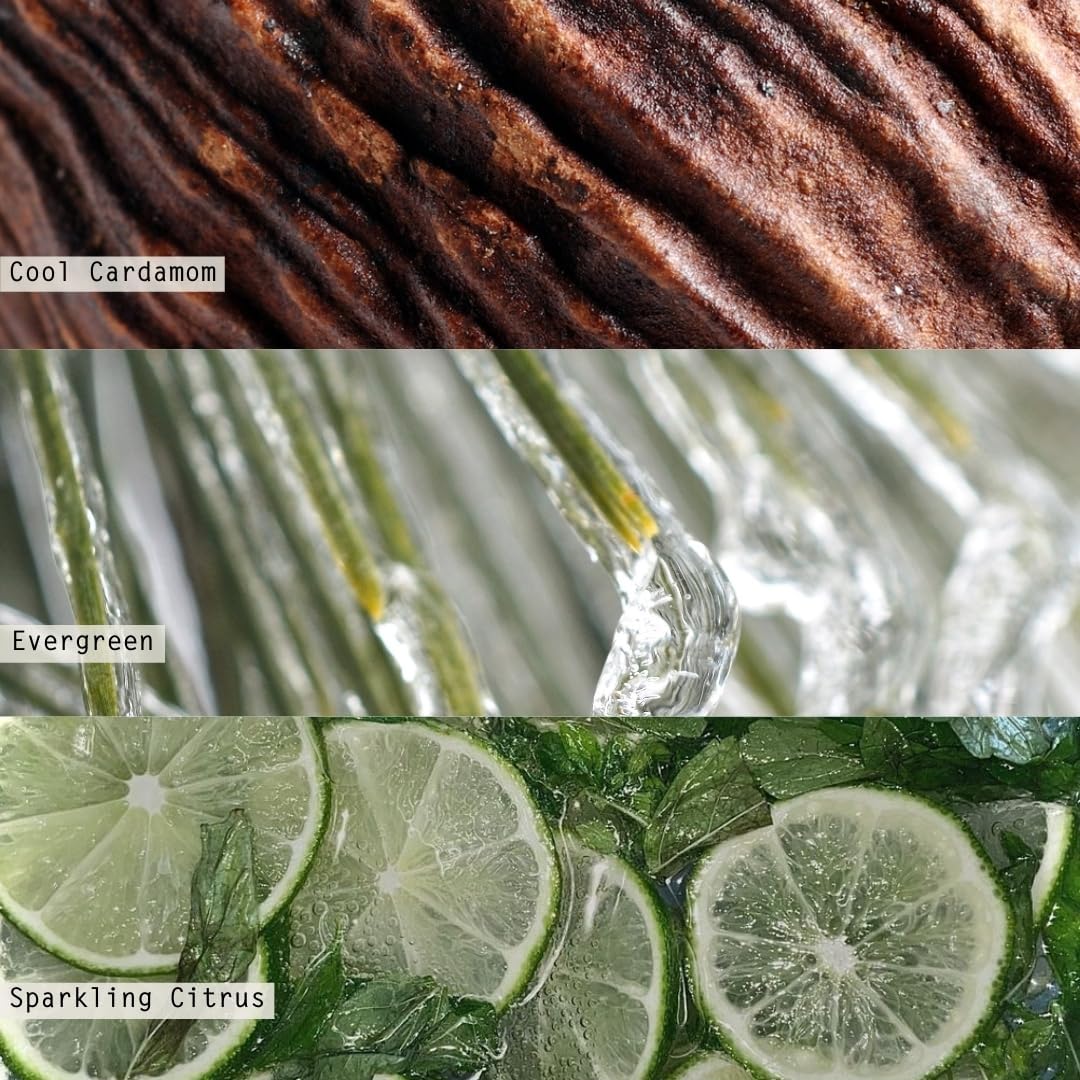 ILLUME Small Boxed Crackle Glass Candle, Winter White