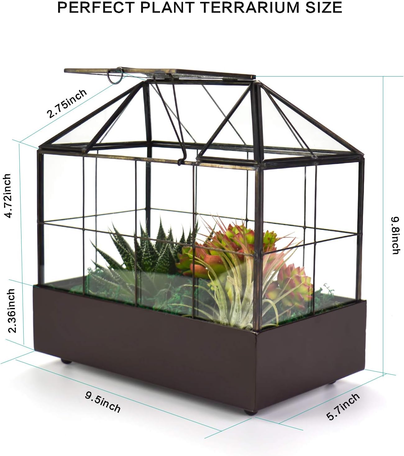 Large Tall Plant Terrarium Glass Greenhouse with Lid and Tray, Indoor Tabletop Orchid Succulent Cacti Kit 9.5'X9.8'X5.6'
