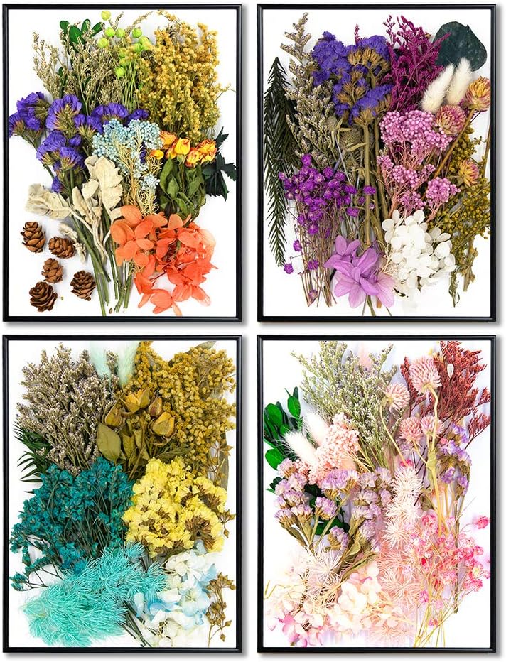 Vignee Real Dried Pressed Leaf Flowers-Multiple Colorful Pressed Flowers Daisies for Craft Resin Jewelry Making Art Craft DIY（Violet+Green）