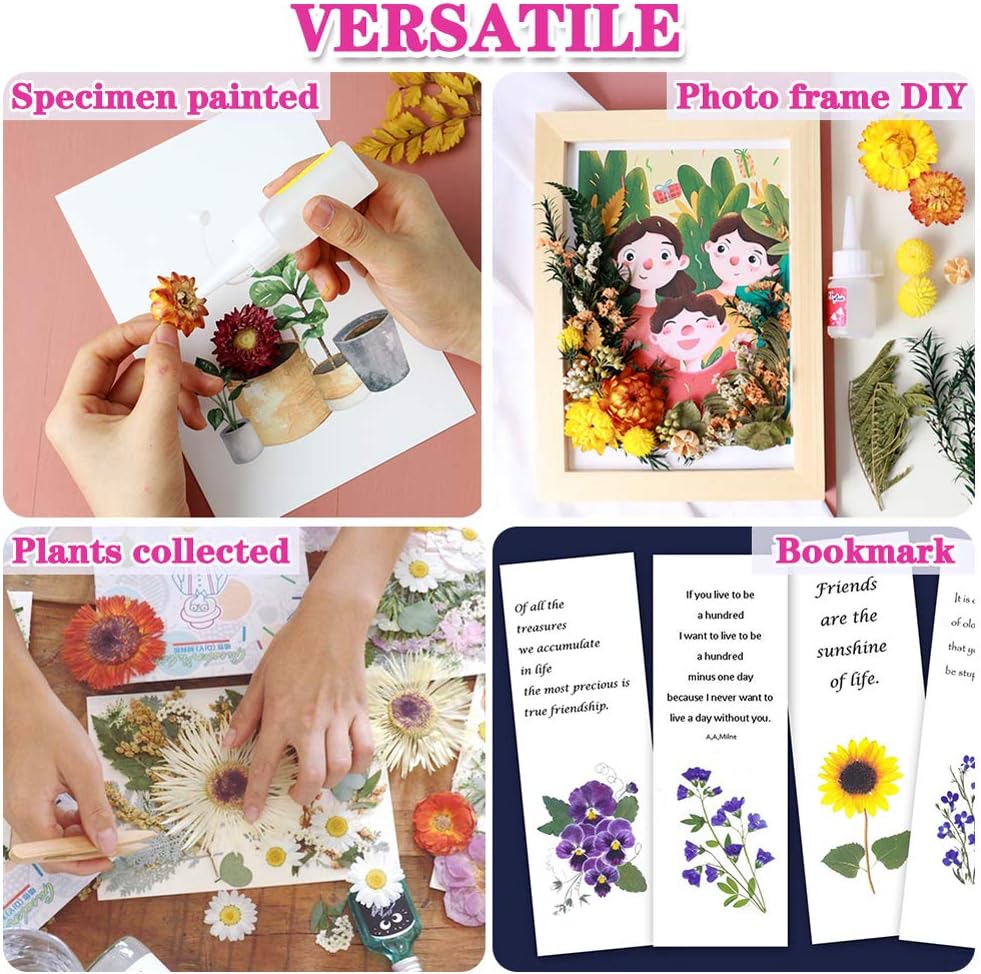 Vignee Real Dried Pressed Leaf Flowers-Multiple Colorful Pressed Flowers Daisies for Craft Resin Jewelry Making Art Craft DIY and Soap Candle Scrapbooking DIY Resin（Pink）