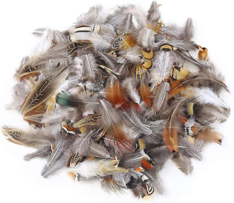 360pcs 12 Styled Natural Feathers Assorted Mixed Feathers for Jewelry and Dream Catcher Crafts