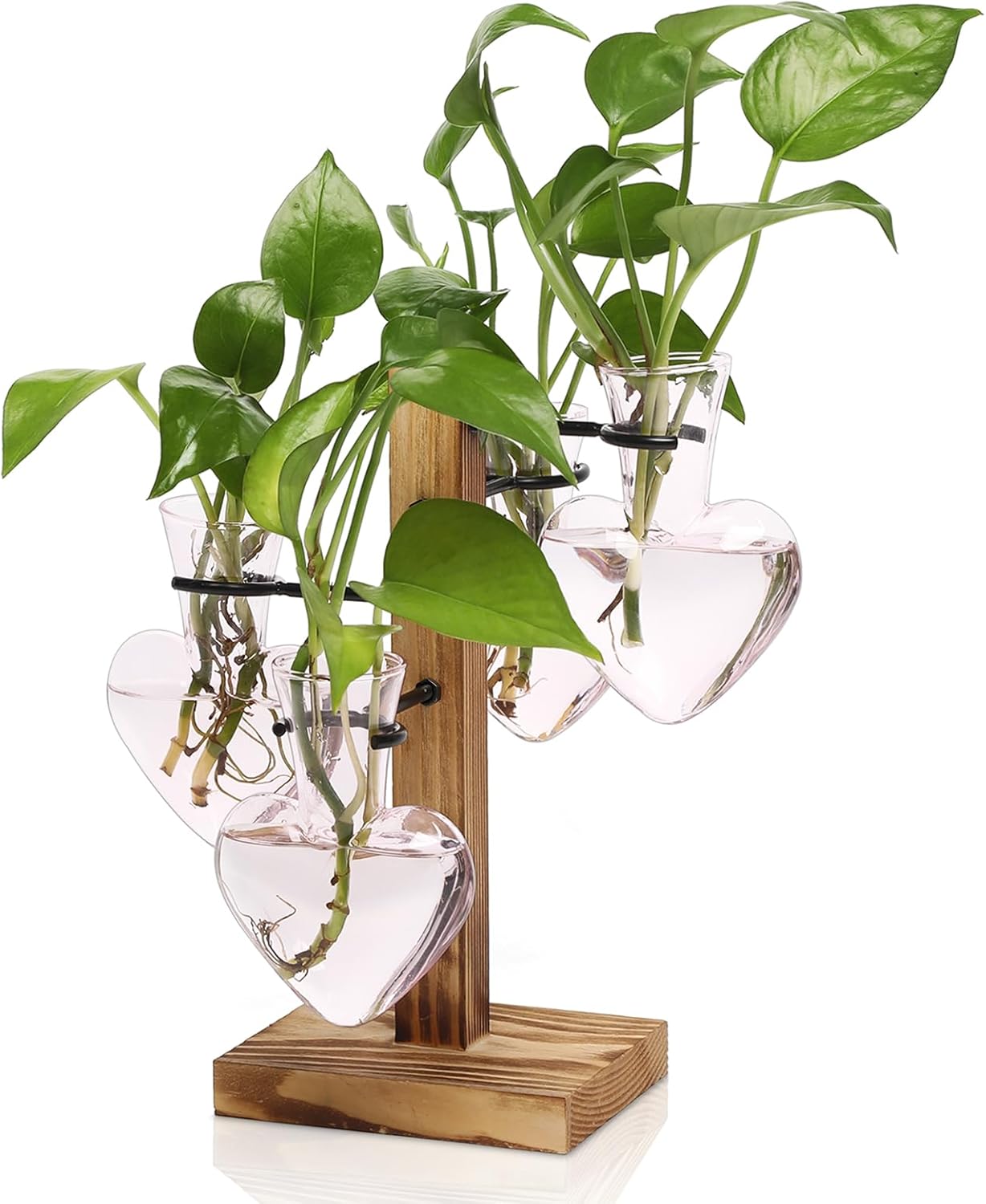 Plants Propagation Stations Plant Terrarium Kit Glass Planters for Indoor Plants House Plant Accessories Gift for Women - 4 Love Bulb Vase