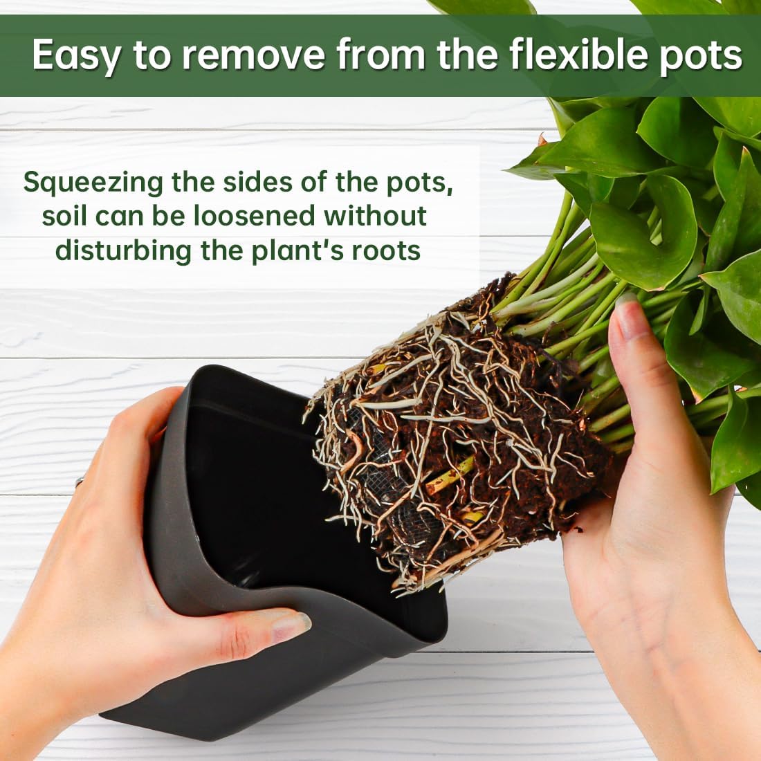 80 Pcs Nursery Pots 4 Inch, Plastic Seed Starting Pot with Drainage Holes, Sturdy Seedling pots for Planting, Succulents, Transplanting, Cuttings (Black)