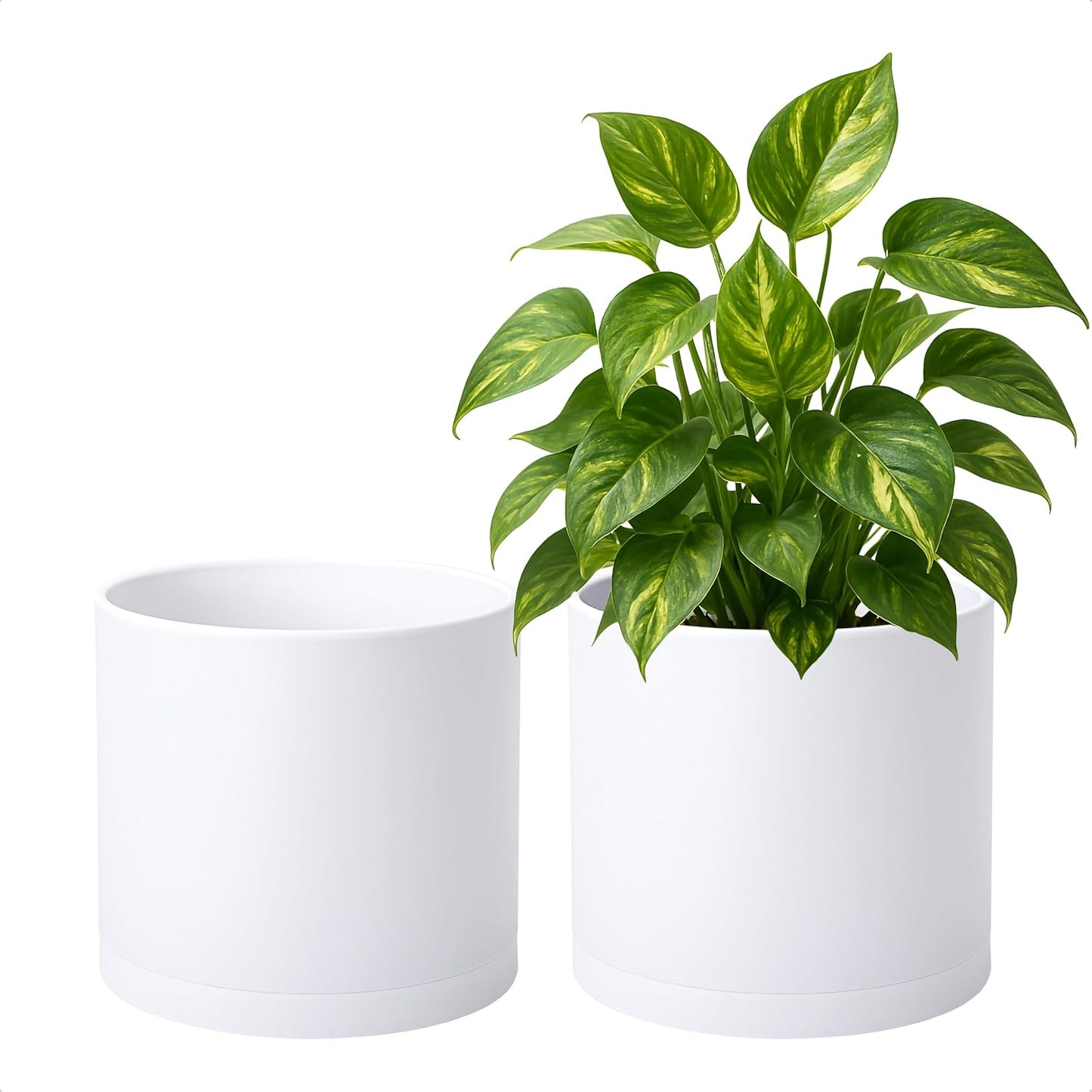 D'vine Dev 2 Pack 8 Inch Modern Plastic Plant Pots, Cylindrical Garden Planters for Plants with Drainage Holes and Saucers, White, 74-Z-M-1