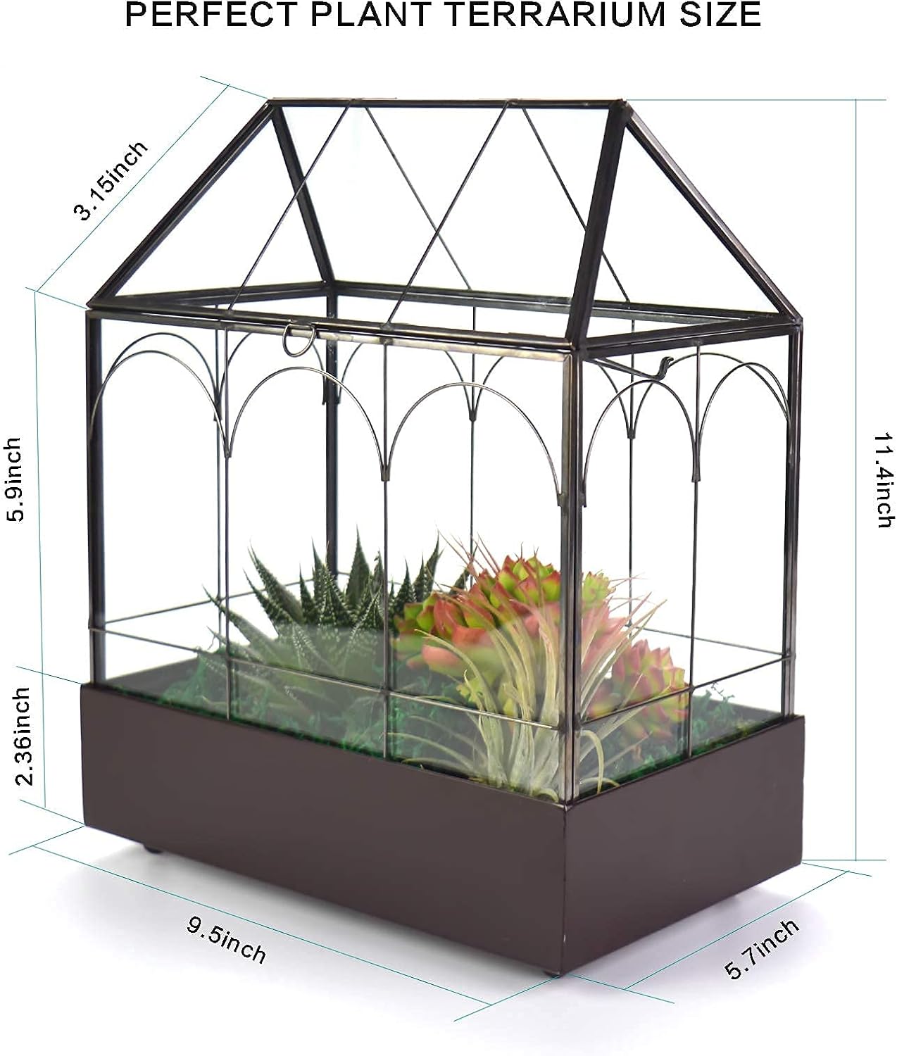 Large Tall Glass Plant Terrarium – House Succulent Terrarium Kit with Lip and Tray Glass Greenhouse Terrarium for Plant 9.5”X5.7”X11.4”