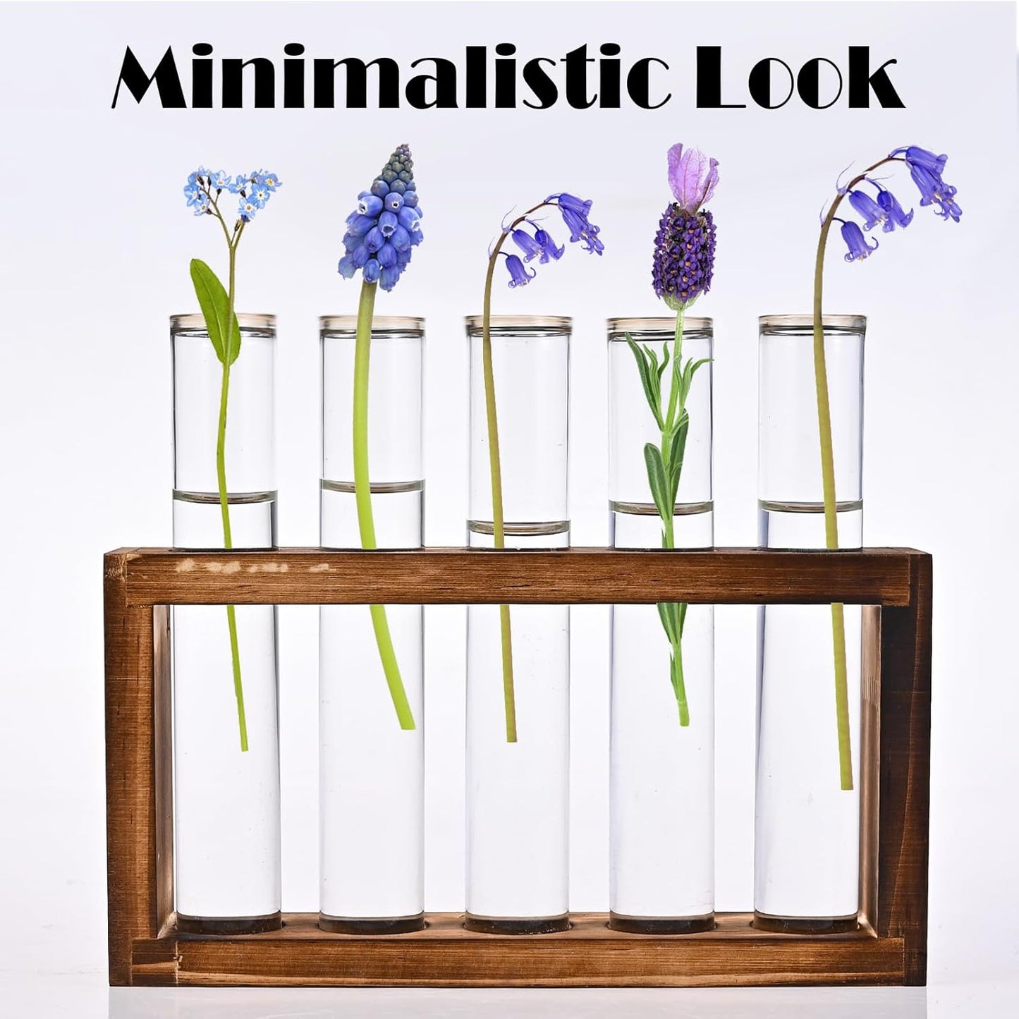 Desktop Glass Plant Propagation Station with 5 Test Tubes in Wooden Stand - Hydroponic Plants Cutting Office Home Decoration and Garden Decor Terrarium (5 Tubes)