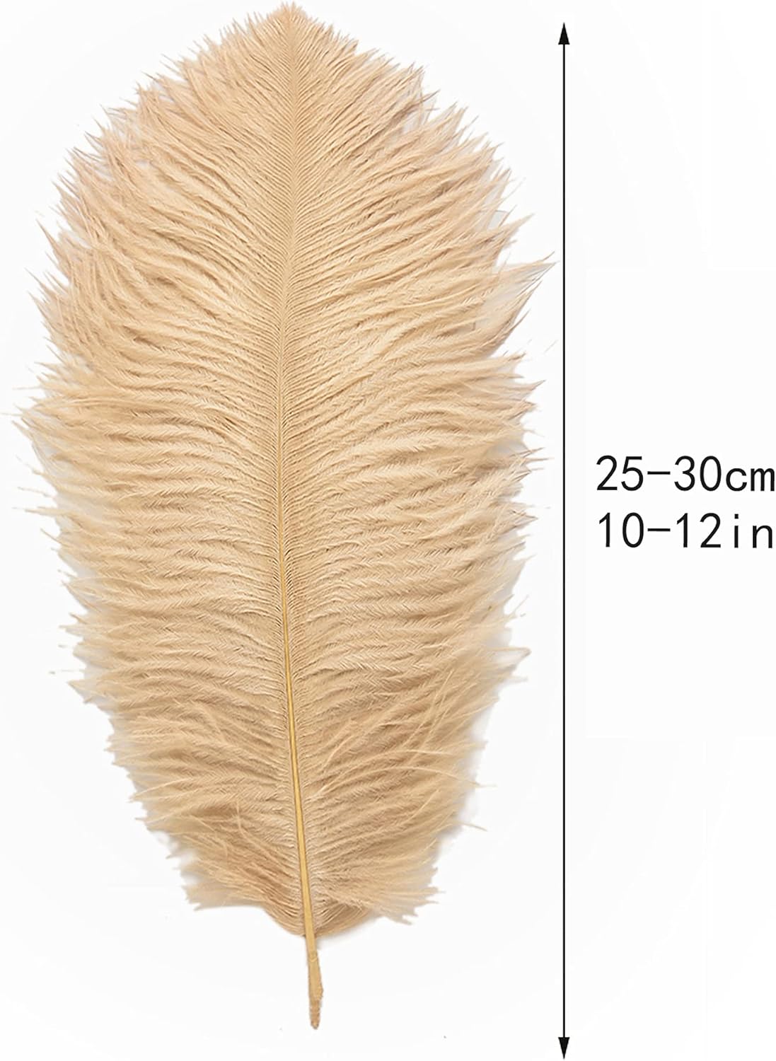 Ballinger Champagne Ostrich Feathers Bulk - 24pcs 10-12inch Boho Feathers for vase and Home Decor Wedding Party Centerpieces