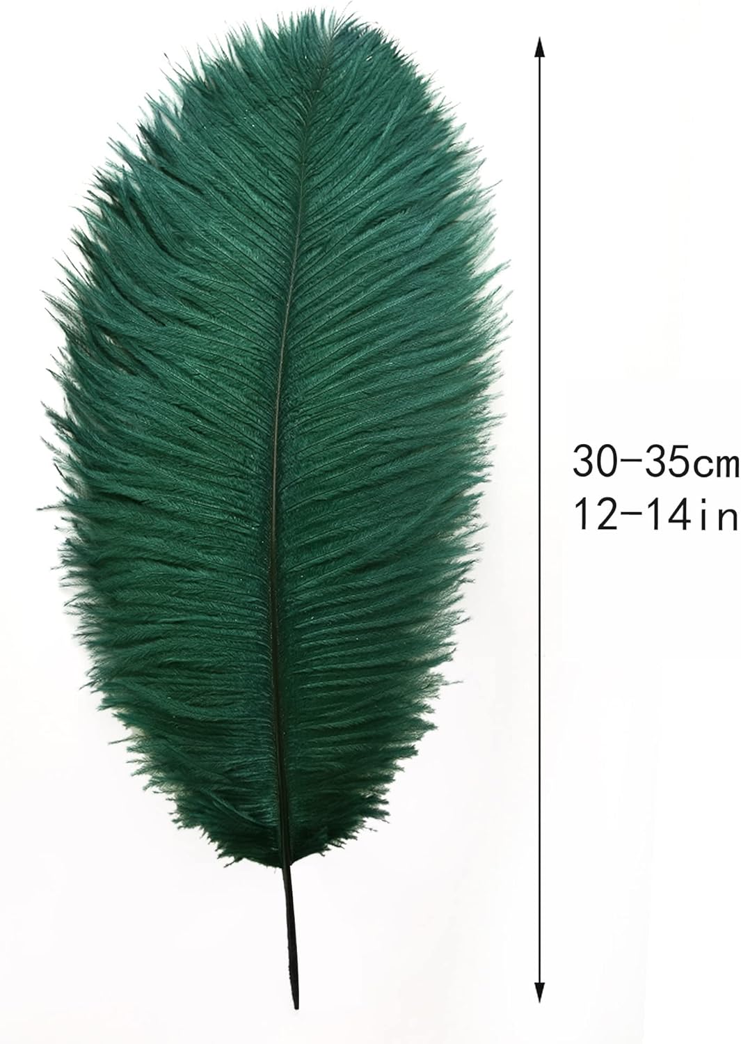 Ballinger Blackish Green Ostrich Feathers - 12Pcs 12-14inch Long Craft Feathers Bulk for Vase, Wedding Party Centerpieces Mardi Gras Decorations and Home Decor