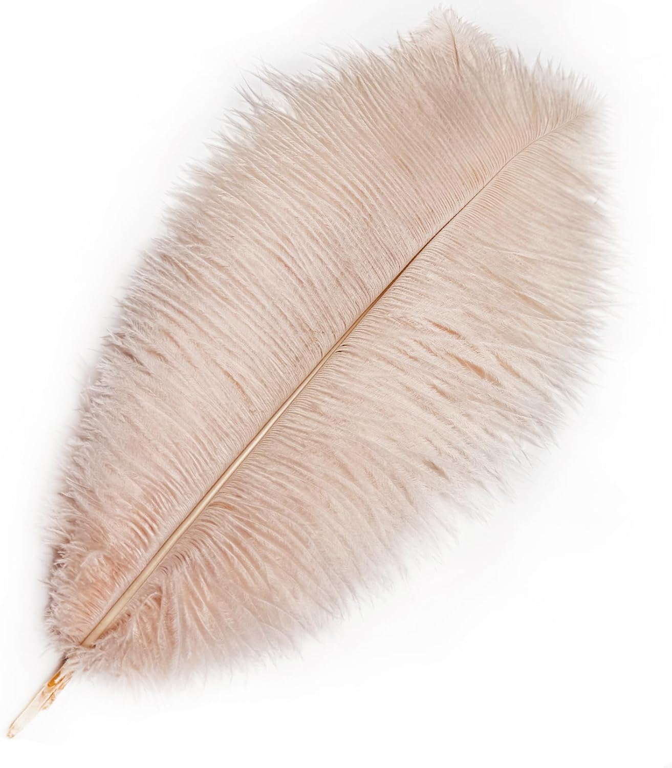 Happy Feather 16-18 inch Purple Ostrich Feathers Craft for Wedding Party Centerpieces Home Decoration DIY Craft Pack of 10-Champagne