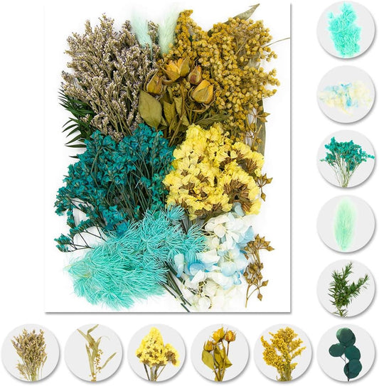 Vignee Real Dried Pressed Leaf Flowers-Multiple Colorful Pressed Flowers Daisies for Craft Resin Jewelry Making Art Craft DIY（Blue）