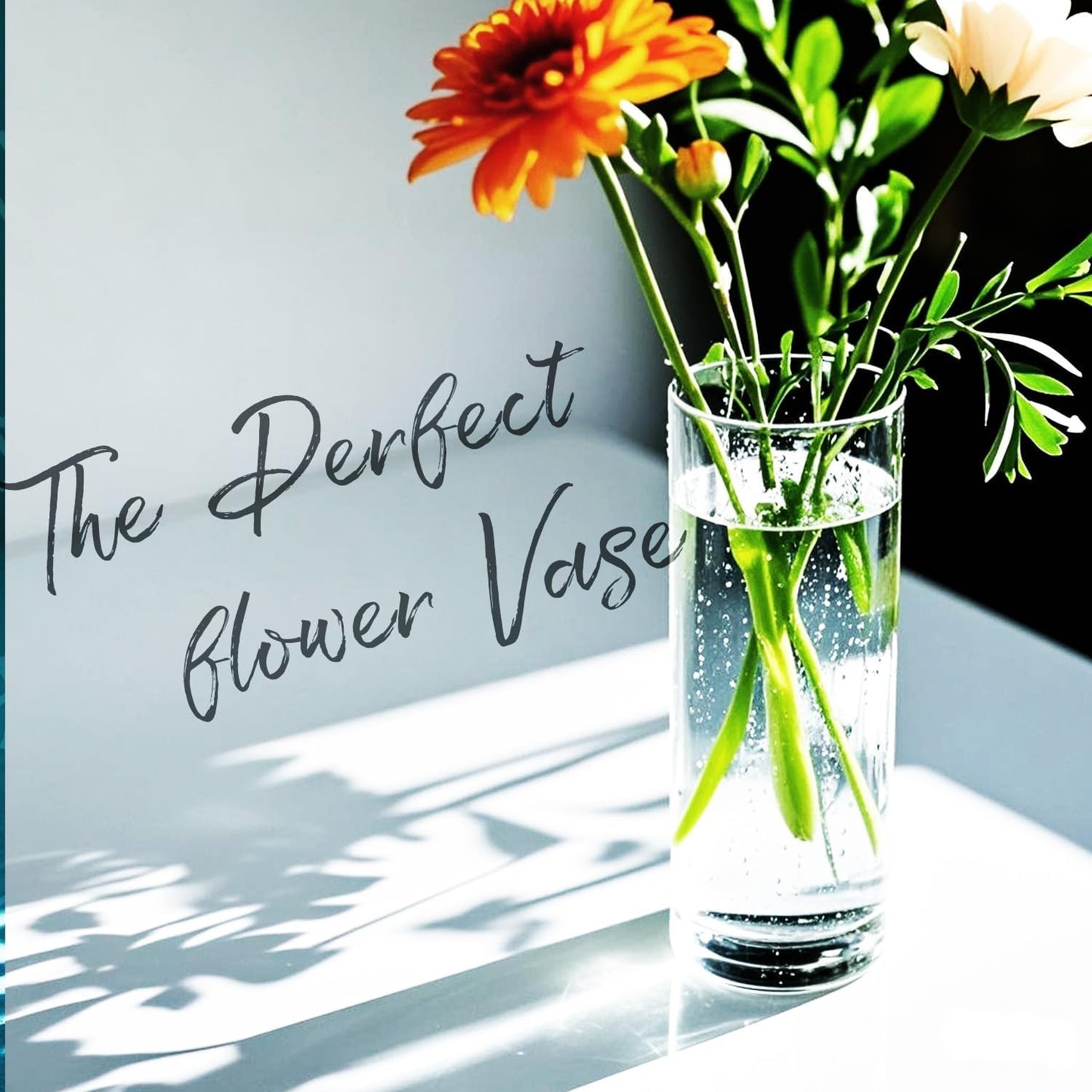 60pcs Glass Vase Cylinder Vases for Centerpieces Small Flower Glass Vases Home Decor Centerpiece Table Clear Flower Vase Decorations for Wedding＆Holiday 4,6,7.5,8,10 Inch Tall