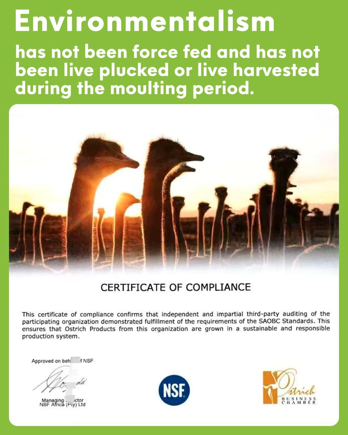 NEWONG 30pcs red Ostrich Feathers Natural Bulk 8-10inch(20-25cm) Vase Craft Wedding Home Party Centerpieces Christmas Day Decoration