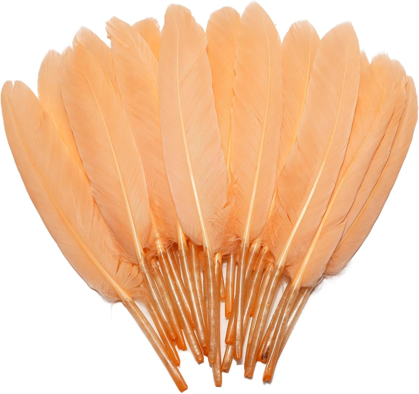 FeelfunFeather 120pcs Champagne Goose Cochettes Feather Natural Bulk 4-6 inch 10-15cm for Wedding Party Christmas Decorations DIY Crafts Goose Cochettes Feather