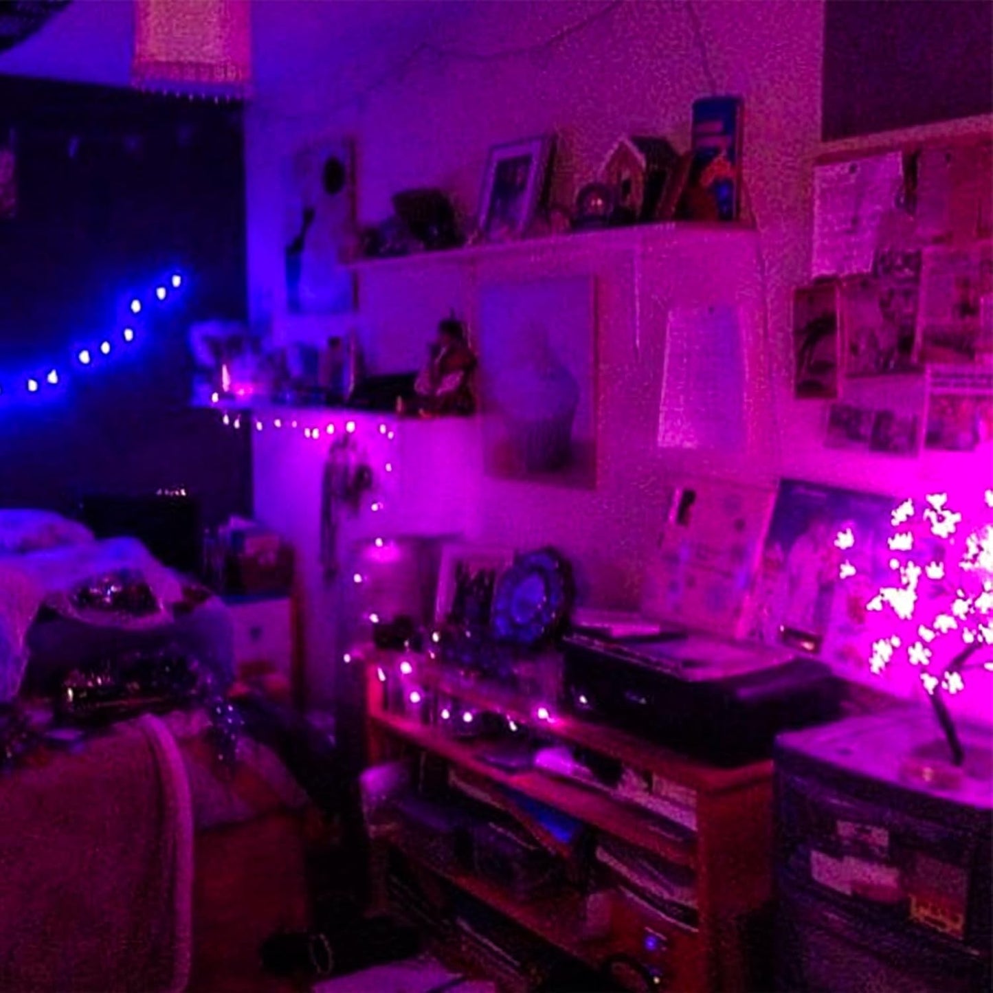 Purple String Lights, 33ft 100 LED 8 Modes Clear Wire Plug in Christmas Easter Tree Decorative Light for Wedding Birthday Party Window Bedroom Hanging Decorations