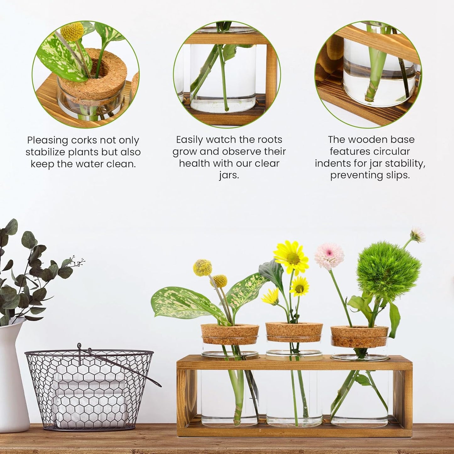 Propagation Stations, Plant Terrarium for Indoor Hydroponic Decor, Glass planters for Fresh Cuttings, Unique Birthday Gifts for Women & Mom, Home/Office Decor