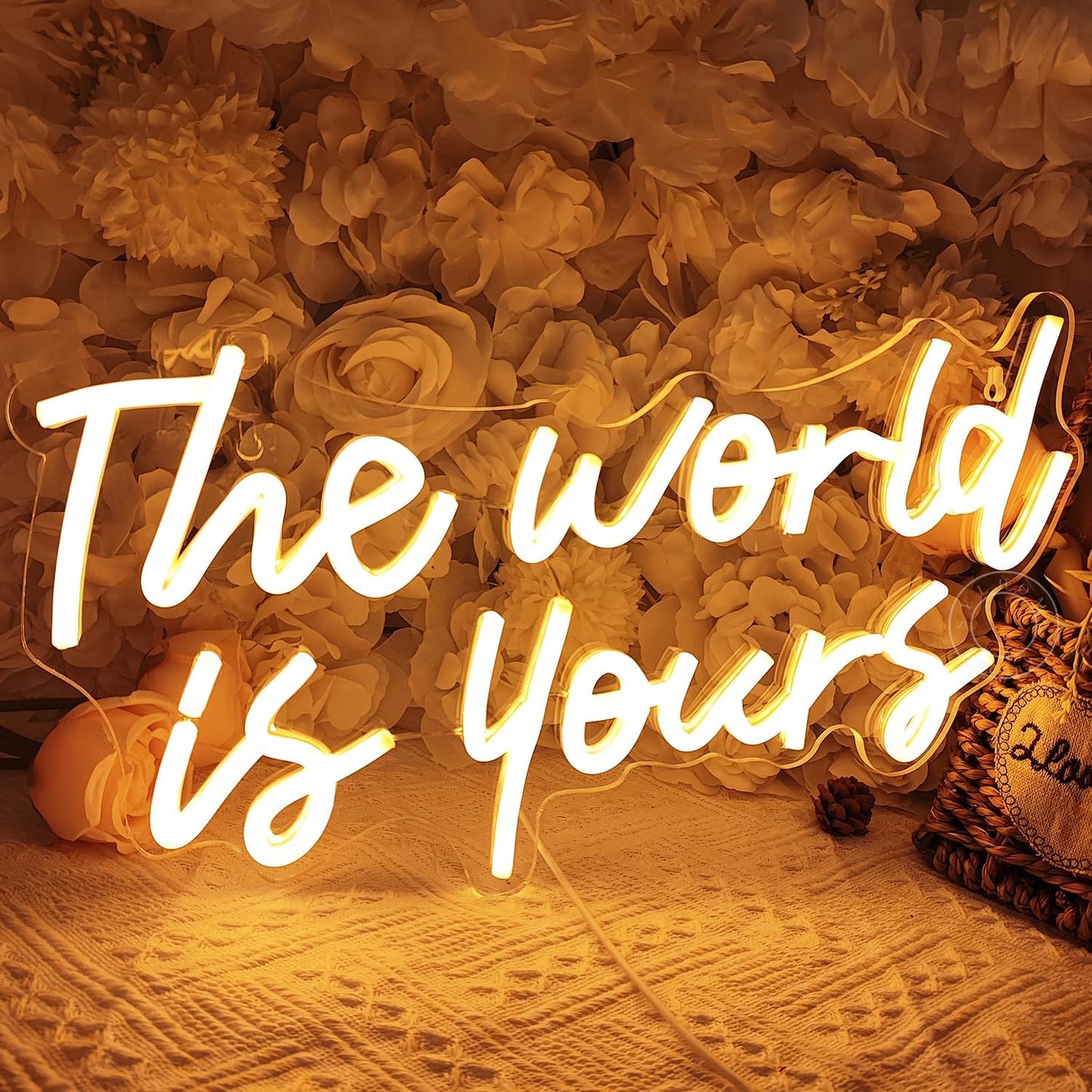 SYLHOME The World Is Yours Led Neon Light Sign Cool Bedroom Game Kids Room Wall Decor Sign Birthday Christmas Party Home Pub Club Bar Inspirational Light Up Sign USB 15.75"X8.46" Warm
