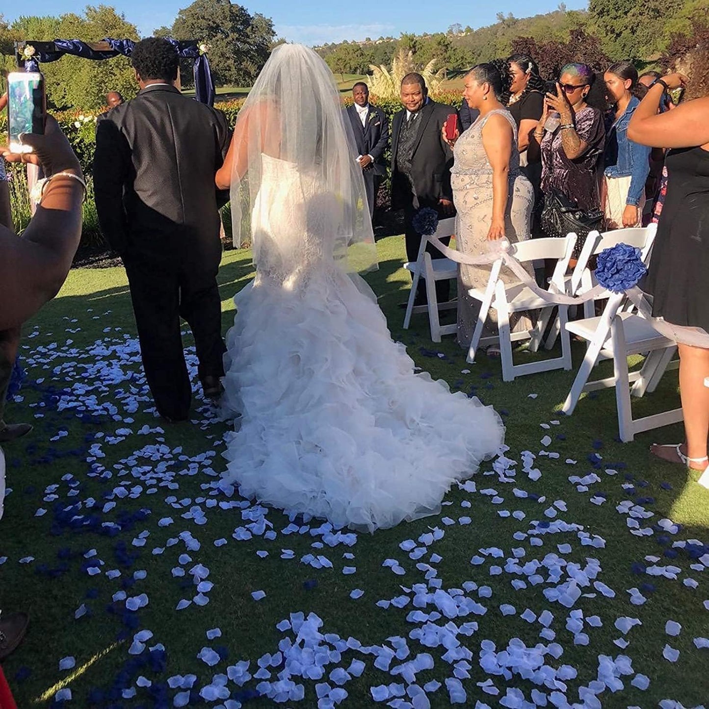 ocharzy 1000 PCS Rose Petals Fake Rose Petals for Romantic Night, Wedding Flower Decoration, Party, Events (Light Blue+White)