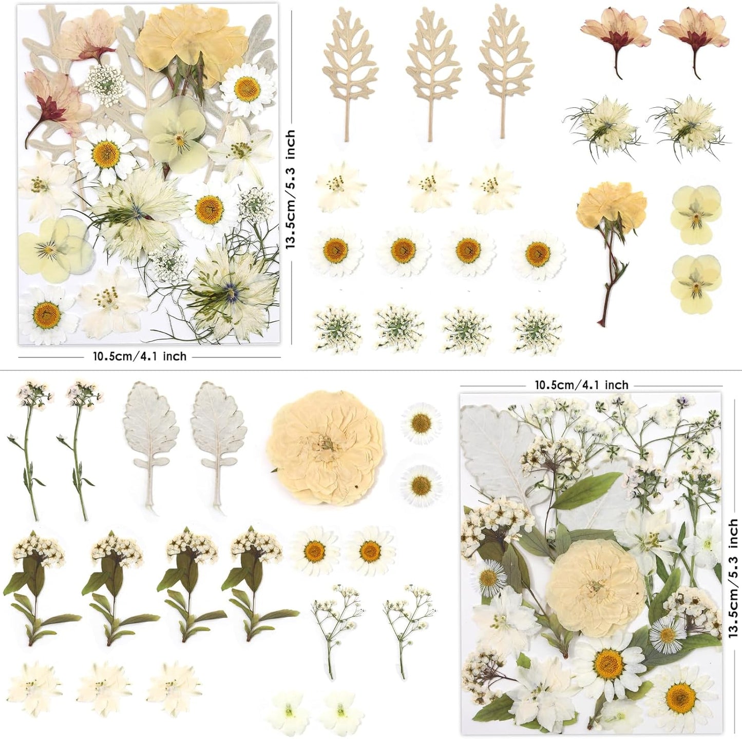 80 Pcs Dried Flowers for Crafts, Real Natural Dried Pressed Flowers in Soft Yellow, White & Pink Tones for Resin, DIY Art, Jewelry, Candle & Soap Making – Tweezers Included