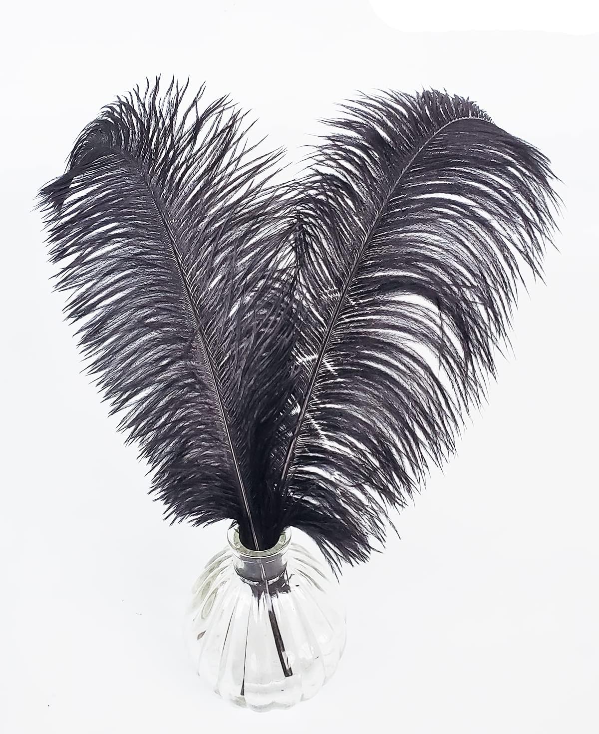 Happy Feather 16-18 inch Black Ostrich Feathers Craft for Wedding Party Centerpieces Home Decoration DIY Craft Pack of 10