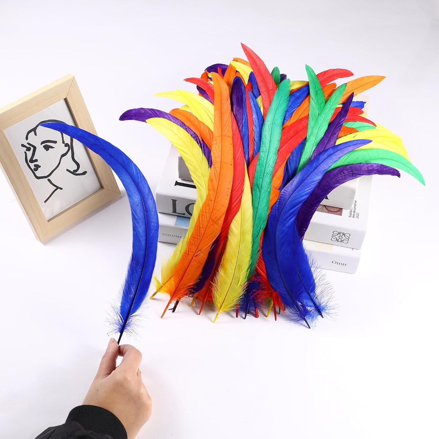 Holmgren Colorful Rooster Tail Feathers - 60pcs 12-14inch Natural Long Rooster Tail Feathers Bulk for DIY Crafts Hats Costume, Holiday Themed Party Decoration (Colorful)