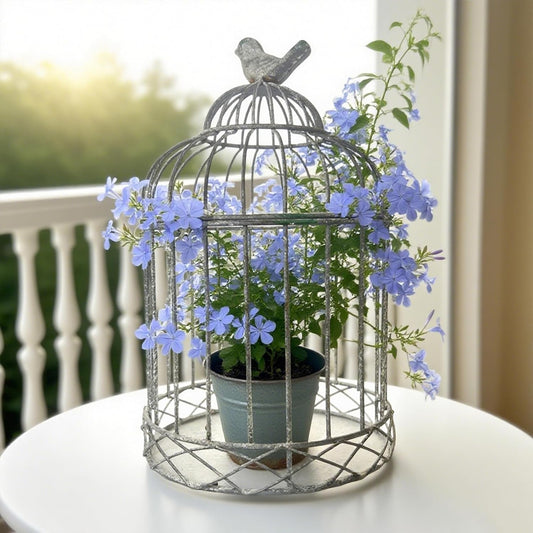 Rustic Farmhouse Metal Planter Holder Vintage Birdcage Candle Holder Distressed Deractive Flower Stand for Wedding Decor Party Centerpieces Garden Home Patio Outdoor Indoor Decor