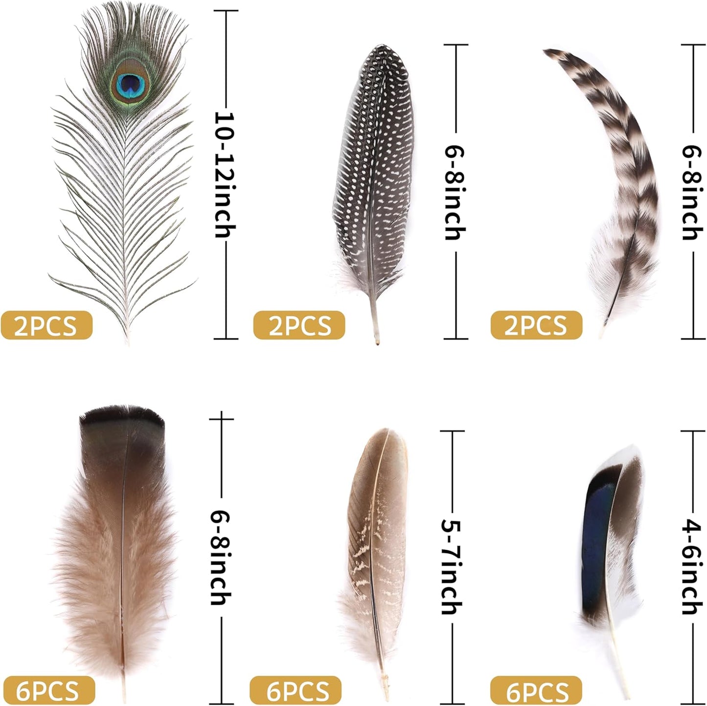 Holmgren 24pcs Natural Feathers Bulk - 6 Styles Assorted Peacock, Pheasant, Turkey Feathers for Craft DIY Jewelry Hat Wedding Home Party Decoration
